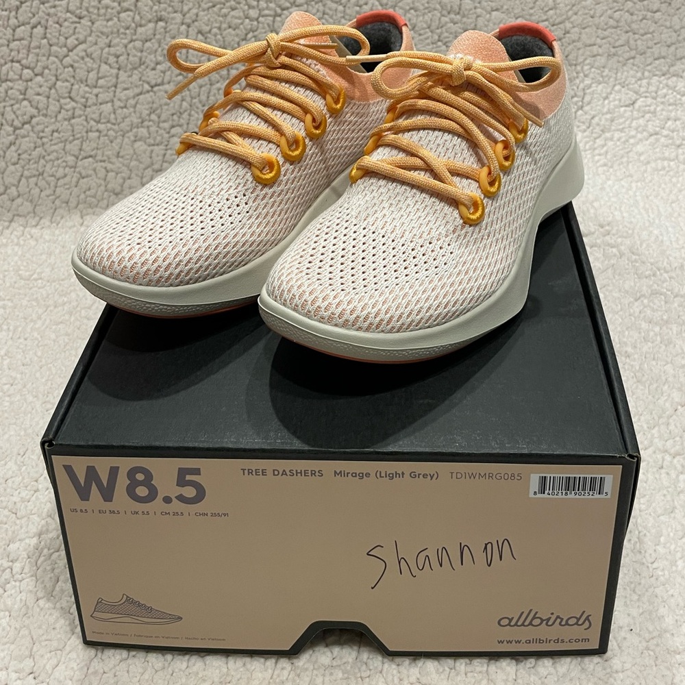 BRAND NEW! allbirds Tree Dashers in Mirage
